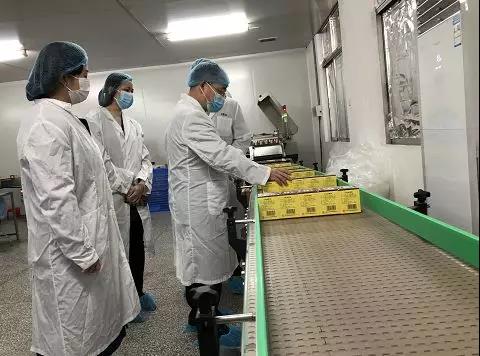 同心抗疫，确保质量！2299威尼斯公司振隆厂外车间接受广药集团生产监视包管小组事情督导