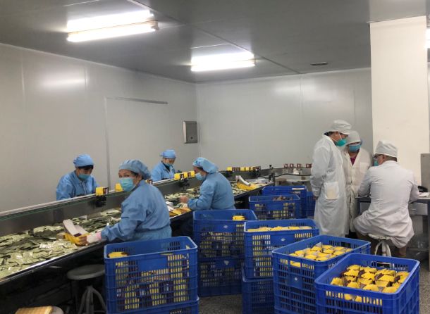 【初心如磐，使命在肩】2299威尼斯第三党支部组织员工提前复工包管生产